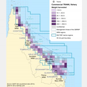 Commercial TRAWL Fishing Active Licences within GBR fishing grids in 2013.