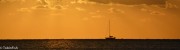 Sailing Whitsundays on sunset